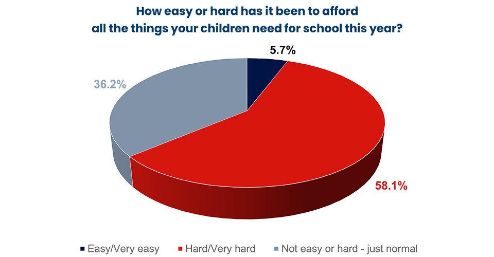 pie graph for the pulse survey