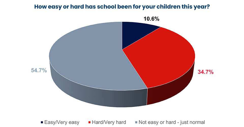 pie graph for the smith family pulse survey