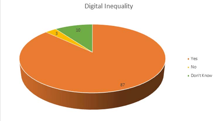 Pie graph of digital inequality