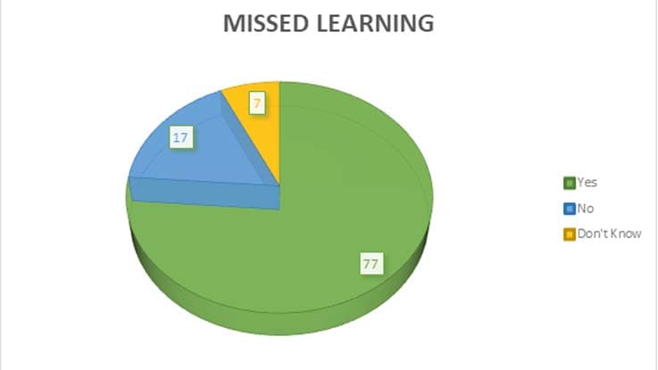 Pie graph of missed learning