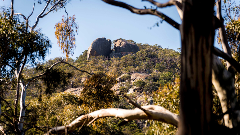 You Yangs. Large granite rock formation surrounded by native bushland and eucalyptus trees under a clear blue sky.