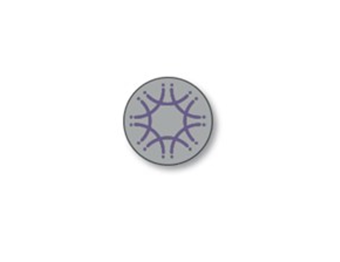 Lapel pin